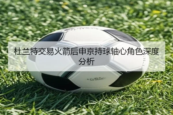杜兰特交易火箭后申京持球轴心角色深度分析